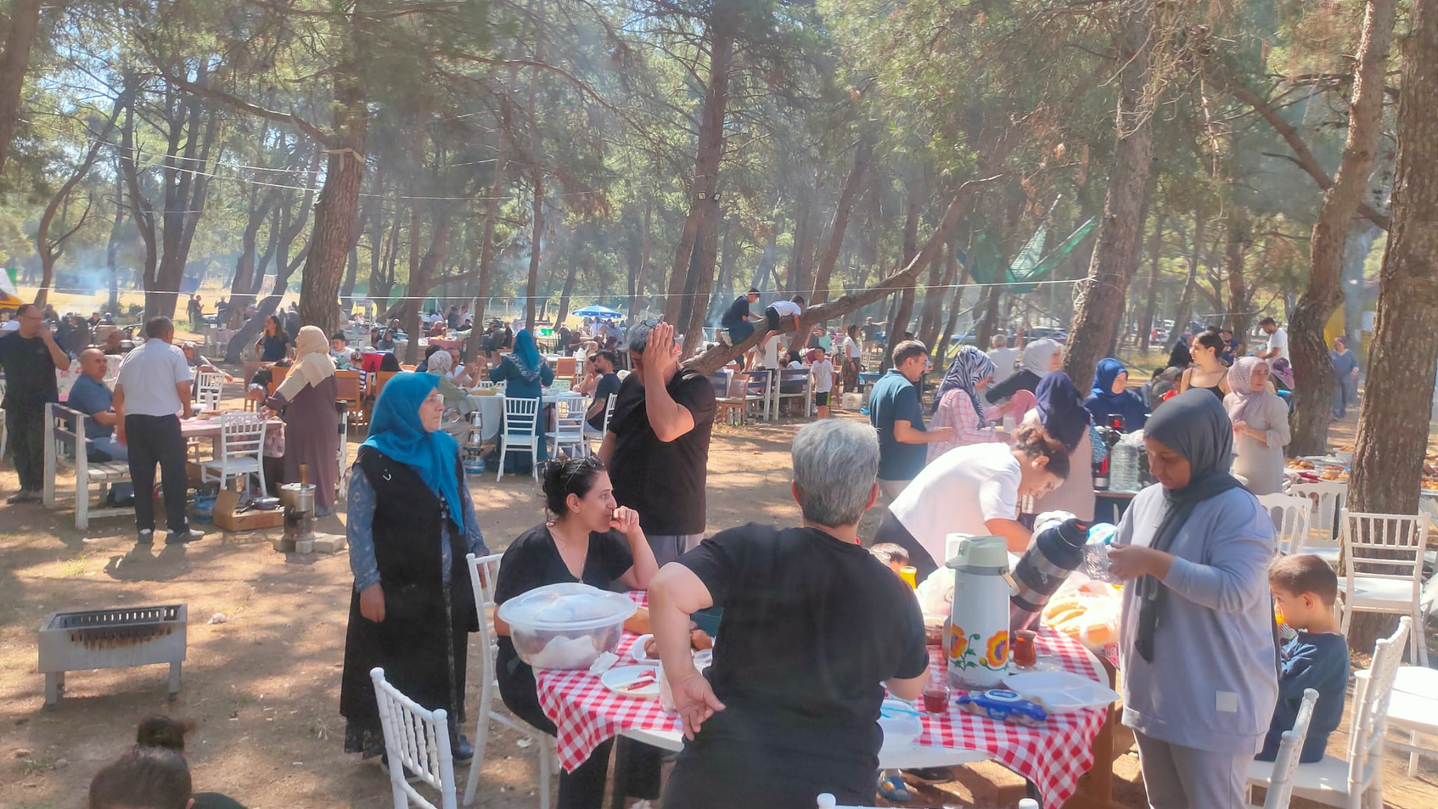 Kahvaltı ve Piknikler